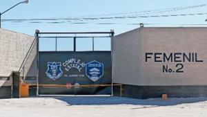 Relacionada ceresofem.jpg