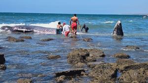 Relacionada 649562758_1240038044967914_1097405979236414808_n.jpg