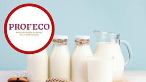 Relacionada screenshot-2026-03-10-174654-1.jpg