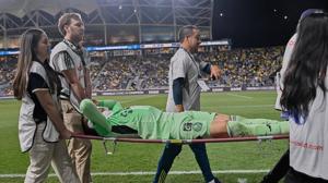 Relacionada malagon-lesion.jpg