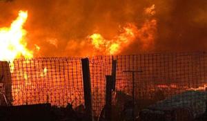 Relacionada whatsapp-image-2026-03-11-at-73043-am.jpg