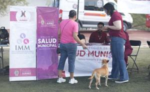 Relacionada cruzadaprincipal_whatsapp-image-2025-10-01-at-124006-pm.jpg