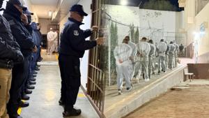 Relacionada inshot_20260311_101805414.jpg