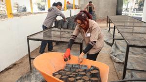 Relacionada 69b1d1d19abcf__69b1d1d19abd0.jpg