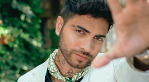 Relacionada zalek.jpg