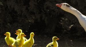 Relacionada descarga-2026-03-12t085742944.jpg