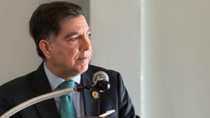 Relacionada img_3316.jpg