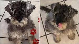 Relacionada fotojet-1.jpg