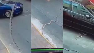 Thumb dcji4hsvmaao5cv