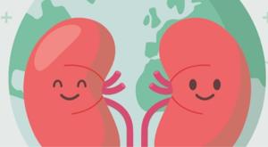 Relacionada descarga-2026-03-12t123542236.jpg