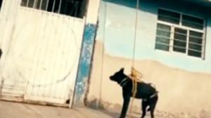 Relacionada 69b323d307562.jpg