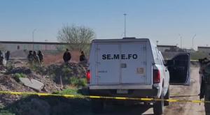 Relacionada download-2026-03-13t101052691.jpg