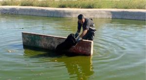 Relacionada descarga-2026-03-13t124023826.jpg