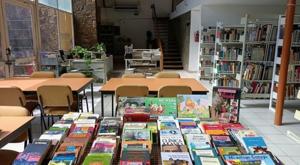 Relacionada download-2026-03-13t140805161.jpg