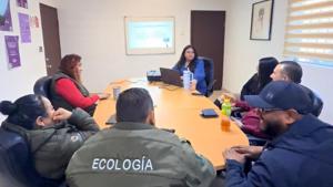 Relacionada 69b4705a5c81c__69b4705a5c81d.jpg