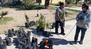 Relacionada whatsapp-image-2026-03-13-at-23202-pm.jpg