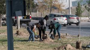 Relacionada 69b481f4c84f4__69b481f4c84f5.jpg