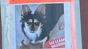 Relacionada brownie.jpg