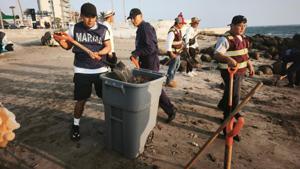 Relacionada 8a58069f-cdb0-4f1c-8a40-8f30327710f5.jpg