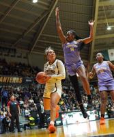 Relacionada panteras-winy.jpg