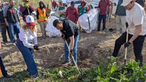 Relacionada pxl_20260314_150129462.jpg