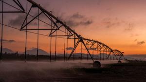 Relacionada 260122-agricultura-peua-18.jpg