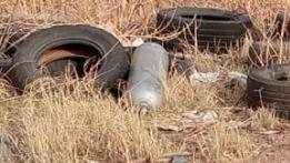 Relacionada 18ee8f9c-6d39-4597-9ed9-264c7289390e.jpg