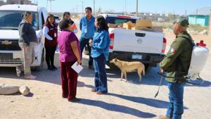 Relacionada dip-jael-fumi.jpg