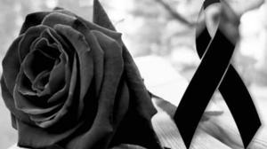 Relacionada mono-negro.jpg