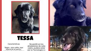 Relacionada diseno-sin-titulo-1.jpg