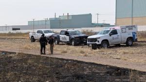 Relacionada inshot_20260316_114710780.jpg