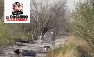 Relacionada whatsapp-image-2026-03-16-at-121156-pm.jpg