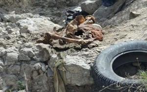 Relacionada whatsapp-image-2026-03-16-at-35550-pm.jpg