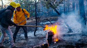 Relacionada incendio-forestal.jpg
