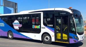 Relacionada bowi.jpg