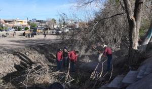 Relacionada whatsapp-image-2026-03-17-at-14628-pm.jpg