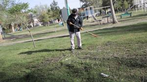 Relacionada img-20260317-wa0261.jpg