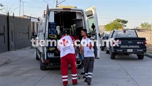 Relacionada 1000277174.jpg