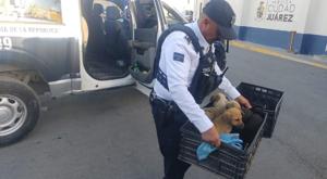 Relacionada download-2026-03-18t090014762.jpg