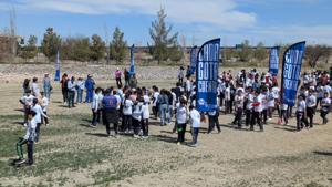 Relacionada pxl_20260318_171829117.jpg