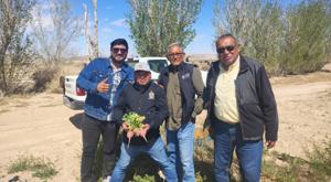 Relacionada descarga-23.jpg