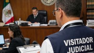 Relacionada visitador-judicial.jpg