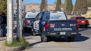 Relacionada inshot_20260319_093755022.jpg