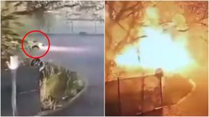 Relacionada fotojet-3.jpg