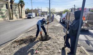 Relacionada whatsapp-image-2026-03-19-at-103732-am.jpg