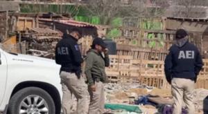 Relacionada download-2026-03-19t114241046.jpg