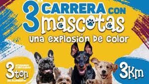 Relacionada 7667a8d1-edbd-4fcf-b30c-1e0f9379d8dc.jpg