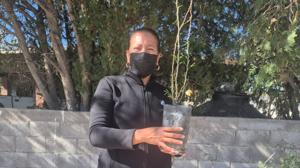 Relacionada 69bc5a85710f9__69bc5a85710fb.jpg