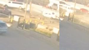 Relacionada video0o.jpg