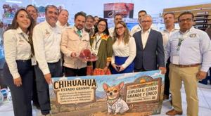 Relacionada imss.jpg